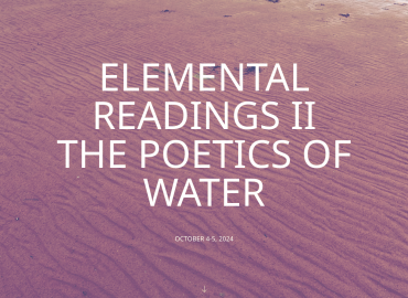 Promotional image for Elemental Readings II. Image of beach with title overlaid.